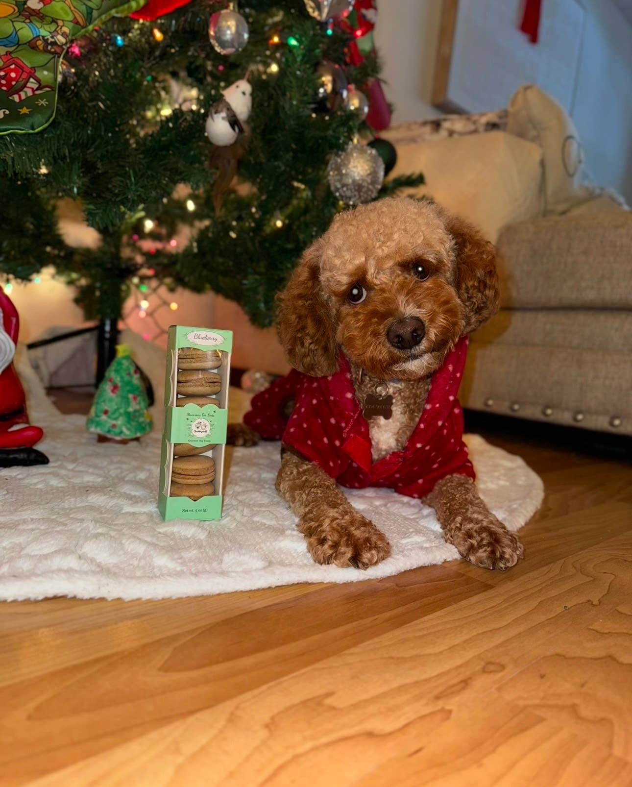 Dog Treats-Macarons-Treats for Dog-Snacks for Dog-Dog Food