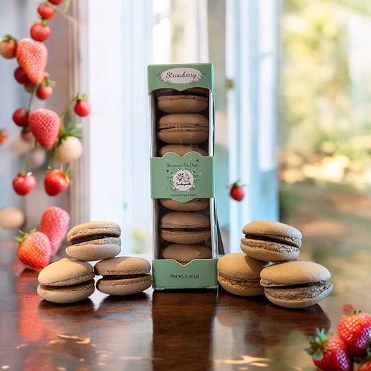 Dog Treats-Macarons-Treats for Dog-Snacks for Dog-Dog Food