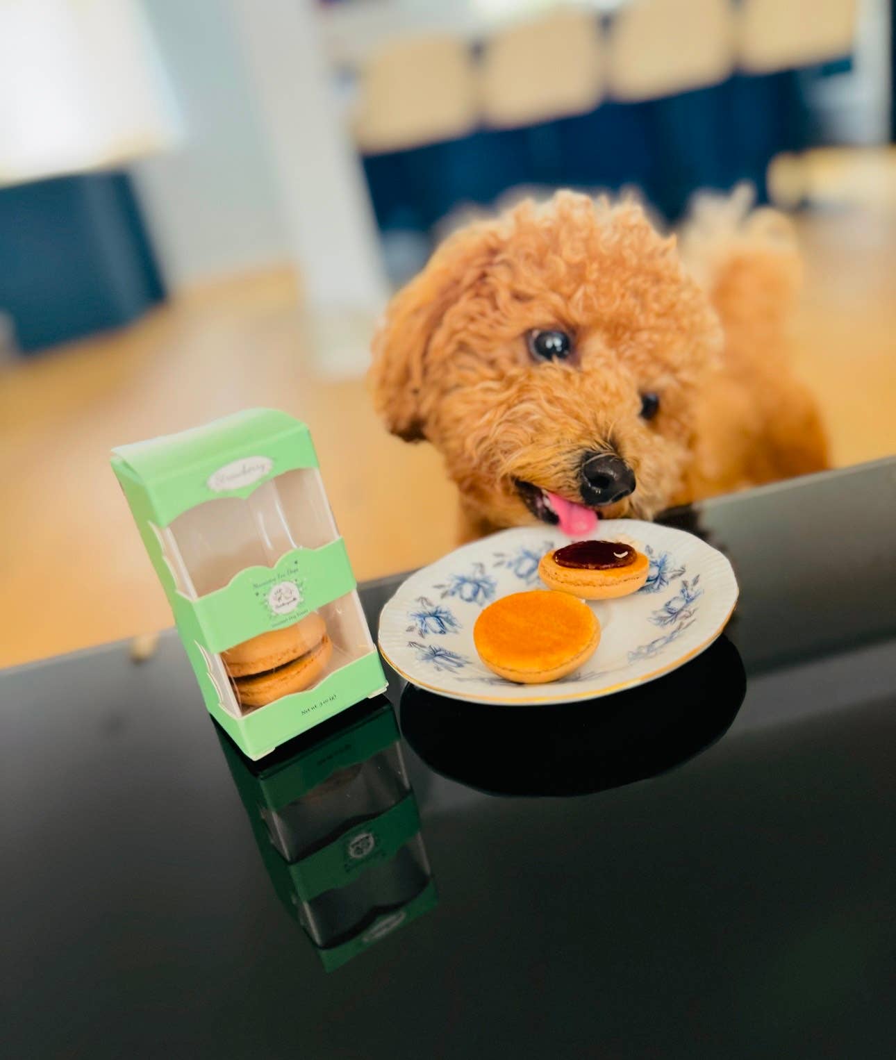 Dog Treats-Macarons-Treats for Dog-Snacks for Dog-Dog Food