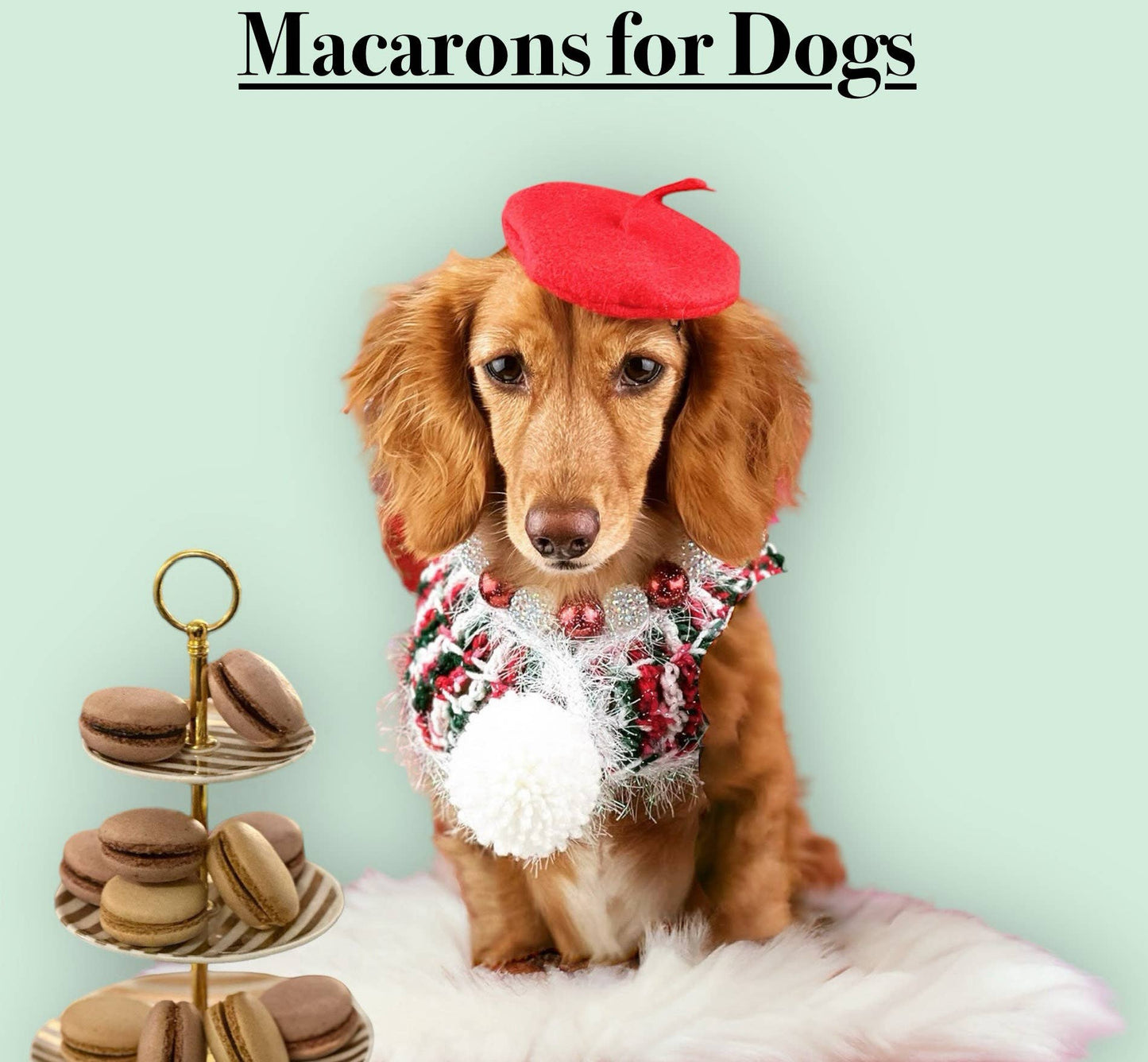 Dog Treats-Macarons-Treats for Dog-Snacks for Dog-Dog Food